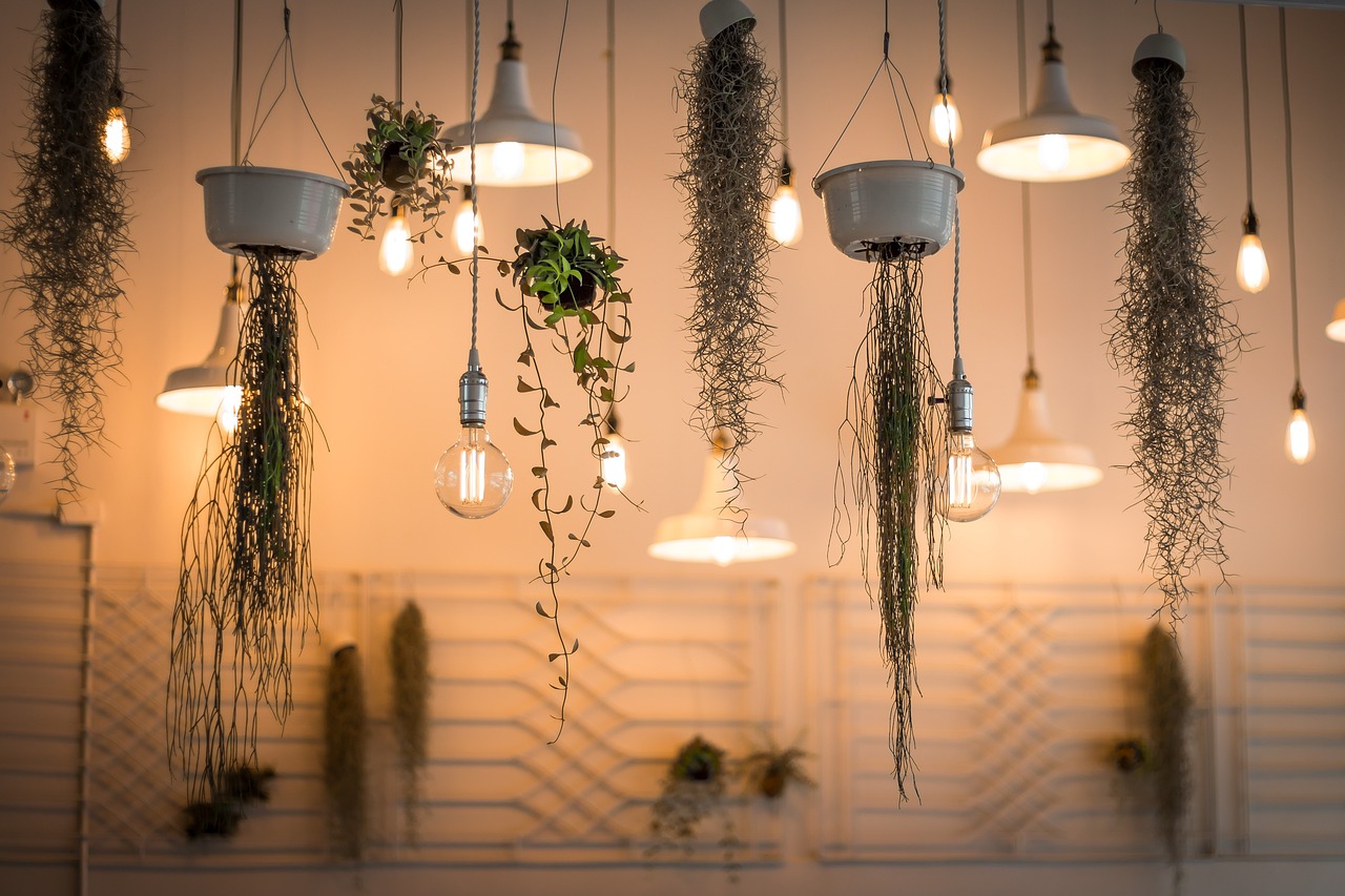 Lighting Remodeling